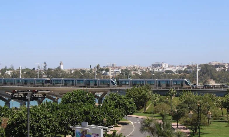 Proč mi nikdo nezavolal? – Příběh jedné oslavy, která změnila rodinu