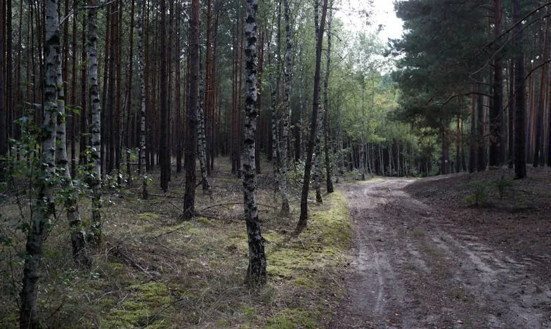 Seděly jsme a plakaly: Příběh dvou zlomených srdcí v jedné rodině