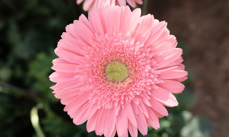 Šepot ticha: Matčina bolest a ztracená dcera