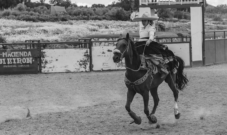 Slzy na hrobě: Tajný život mého muže Tomáše