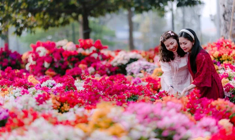 Telefon, který změnil všechno: Příběh o tajemstvích, odpuštění a rodinných ranách