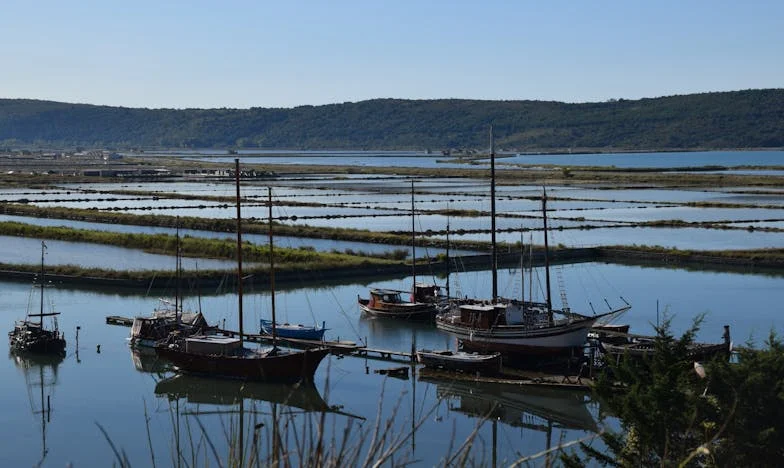 „Ty jsi měla hlídat moje děti, a nechala jsi je hladové“: Pravda za rodinnou hádkou