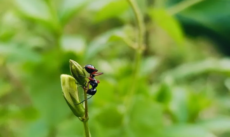 Vyhodila jsem syna a jeho ženu z bytu: Jsem špatná matka, nebo jsem jim konečně dala šanci dospět?