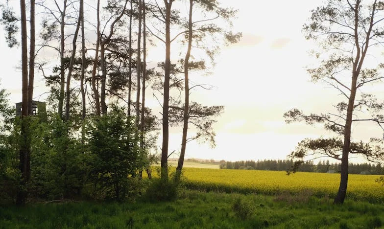 Ztracená důvěra: Přiznání muže, který opustil svou ženu kvůli milence