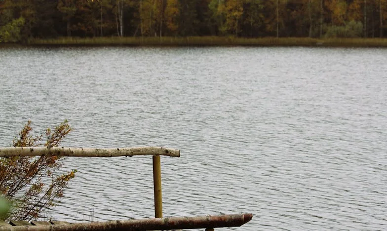 „Babi, nechoď na narozeniny svého vnuka“ — Příběh bolesti, odpuštění a rodiny