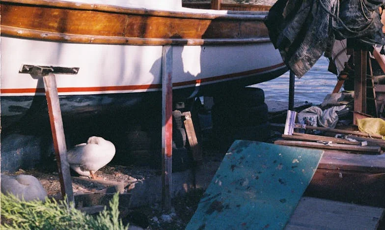 Babiččina nečekaná žádost: Cesta k pochopení