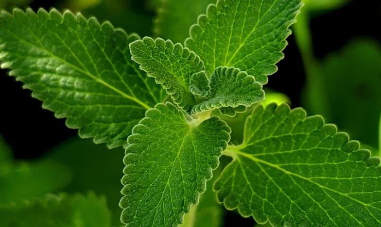 Dala jsem dům dceři, teď mě vyhání: Příběh zrady v rodině