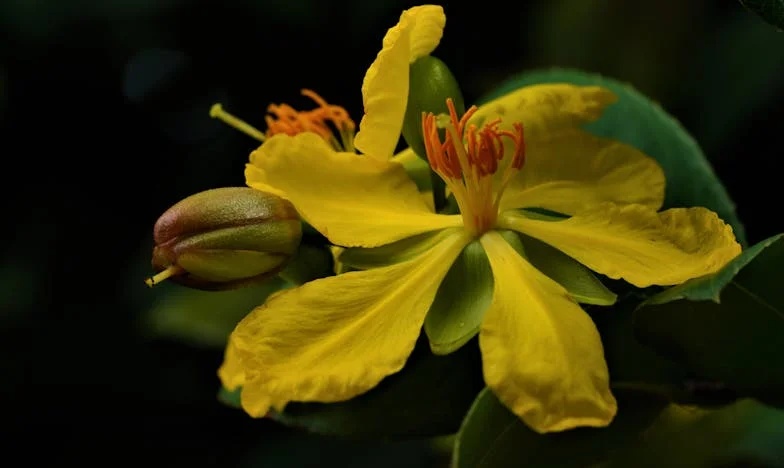 Dědictví, které roztrhlo naši rodinu: Příběh o zradě a odpuštění