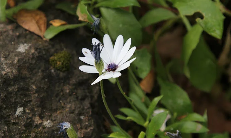 Deset hodin ráno u snachy: ona ještě spí, děti si hrají samy – Den, který navždy změnil mou rodinu