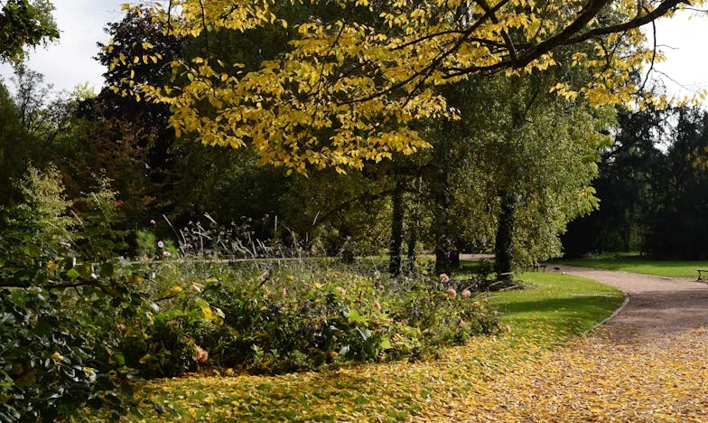 Dva lednice, jedno srdce: Příběh o matce, synovi a hranicích lásky