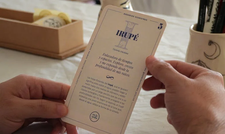 Jděte, já vás doženu – Příběh o rodinných tajemstvích a zklamáních