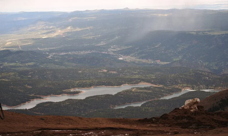 Kdo mi poslal ty květiny?