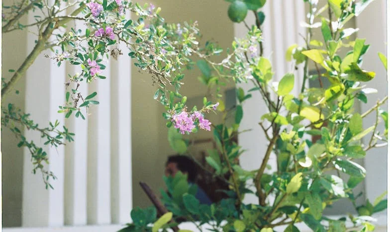 Když babička vystaví účet: Cena rodinné lásky