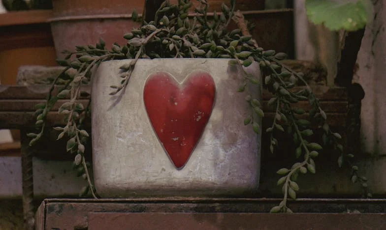 Když domov přestane být domovem: Příběh jedné tchyně a ztraceného bezpečí