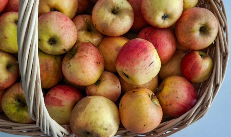 Když manžel zůstává s mámou: Příběh o ztracené opoře a hledání vlastní síly