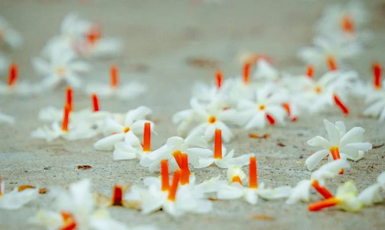 Když rodina rozdělí: Moje úspory, její byt a naše dcera