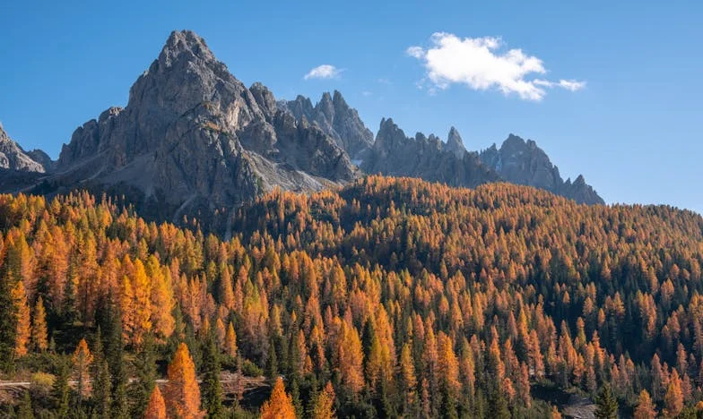 Když se domov stane bojištěm: Příběh o životě s tchyní v české domácnosti