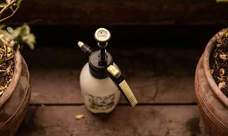 Když se máma vrací domů: Příběh o ztracené svobodě a nalezené odvaze