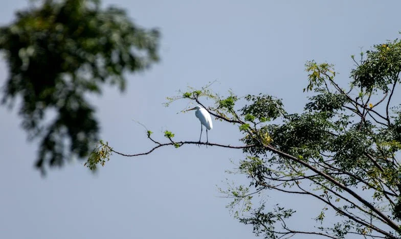 Když slzy ztuhnou v sílu: Moje cesta za úctou v manželství