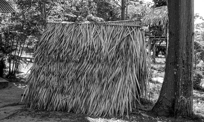 Když tchán vstoupil do našeho bytu: Pět měsíců, které změnily všechno