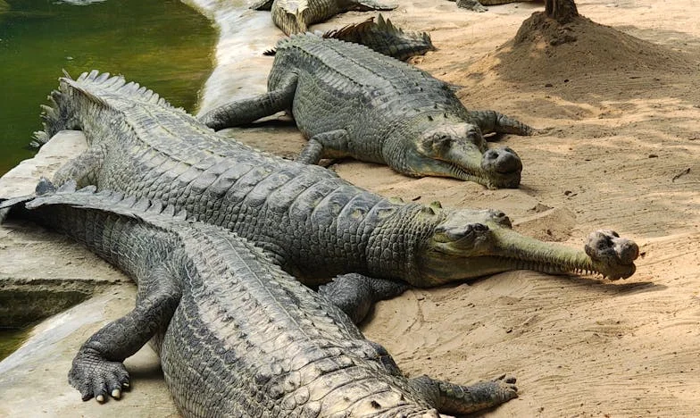 Když už je toho moc: Příběh o hranicích a odvaze říct ne