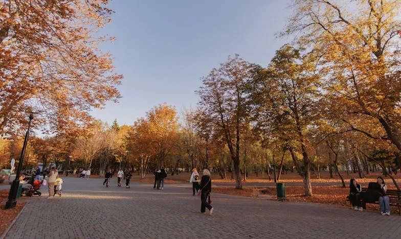 „Mami, musím ti něco říct…” – Jak jsem řekla tchyni, že její syn nemůže mít děti