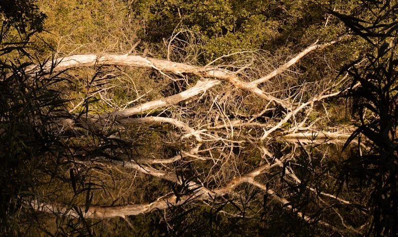 Mámina rada: „Nikdy nenech jedinou kamarádku překročit práh“