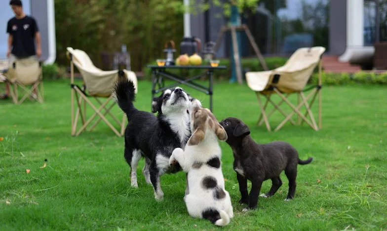 Manžel ve stínu matky: Když tchyně rozděluje rodinu