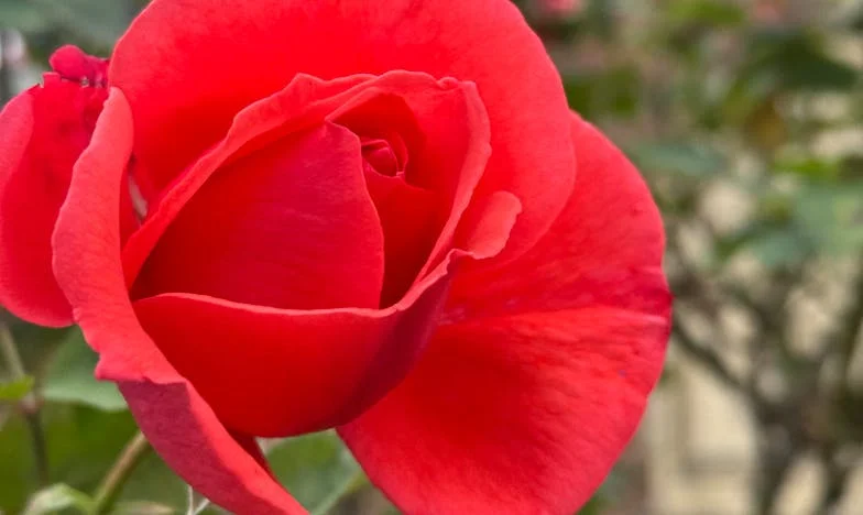 Mateřská láska ve stínu Vltavy: Jsem vůbec dost dobrá?