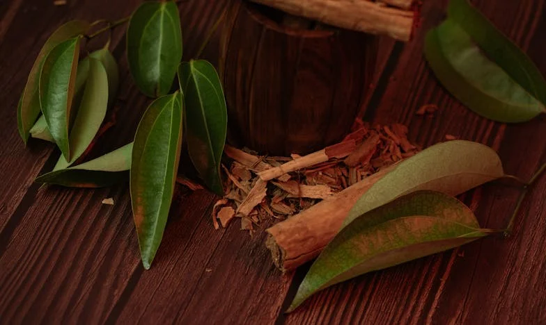 Mezi dvěma světy: Příběh tchyně, která hledala cestu ke své rodině