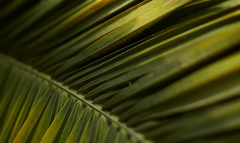 Nečekaný host: Jeden víkend, který obrátil můj život naruby