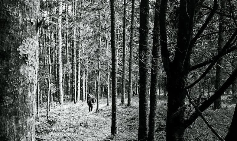 Nečekaný host, zahrada a nové srdce: Příběh o Haně z Brna