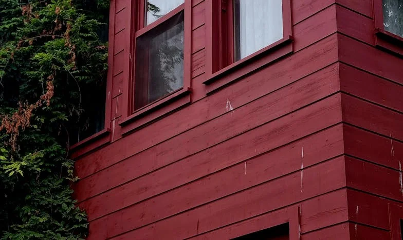 Nikolo, nežeň se! Jak jsem unikla rodině, která mě chtěla vlastnit