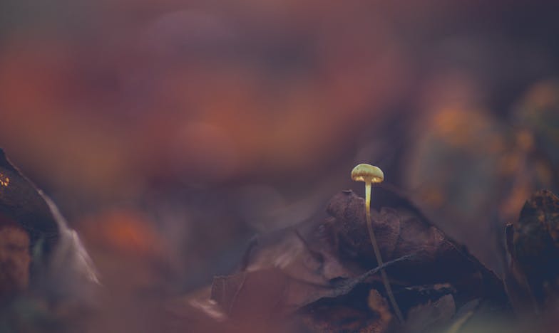 Pravda na grilu: Když rodina praskne ve švech