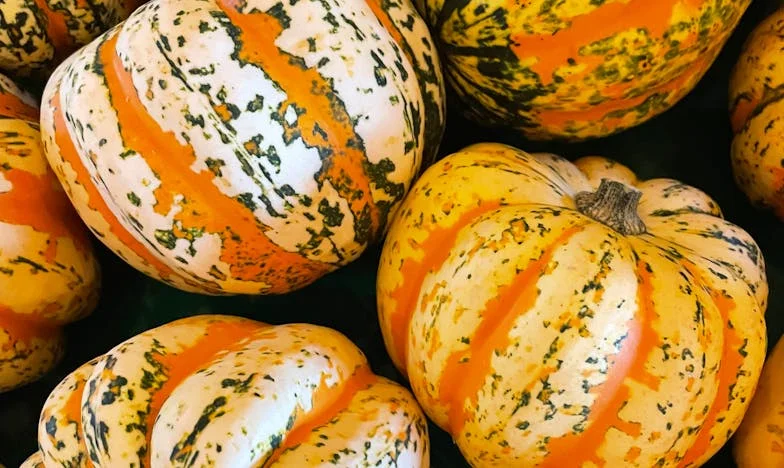 Přijala jsem ji za vlastní – a přesto mi zlomila srdce