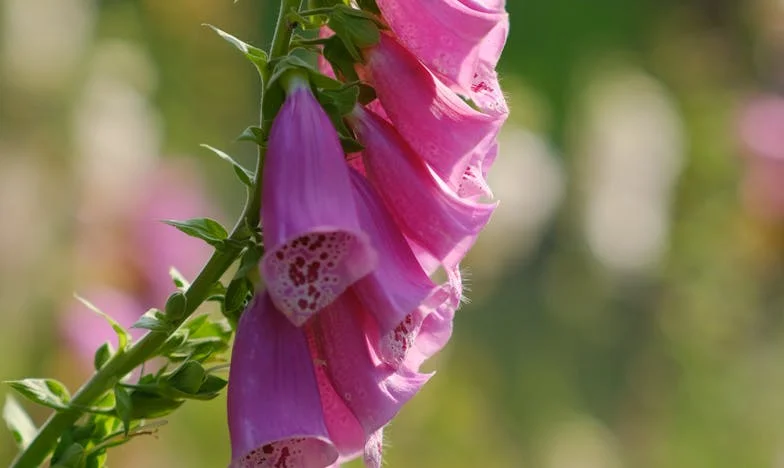 Rodičovství: Jen účet k zaplacení?