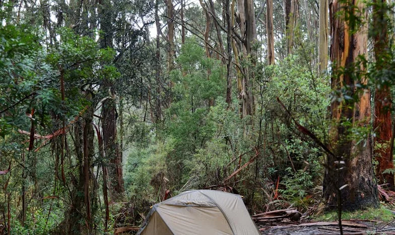 Sama proti vesnici: Příběh o samoživitelství a vesnických pomluvách