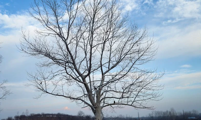 Skrýváš něco před rodinou? Můj příběh o dědictví, zradě a pravdě, která bolí