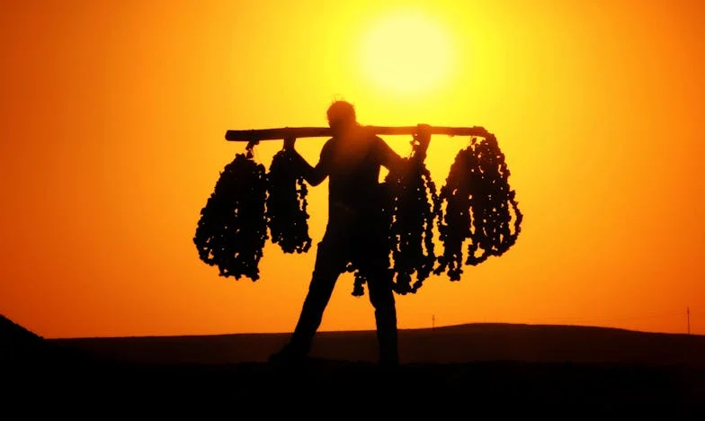 Slzy na jednom polštáři: Matka a dcera opuštěné ve stejném týdnu