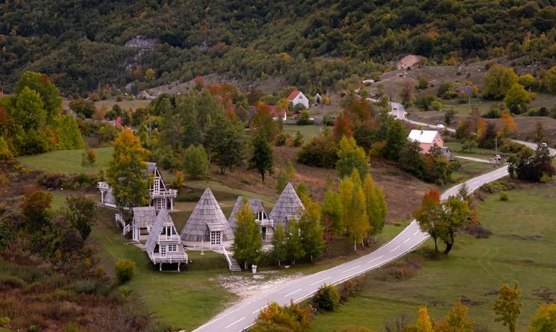 Srdce na dlani: Příběh české ženy o oběti a lásce na nemocničních chodbách