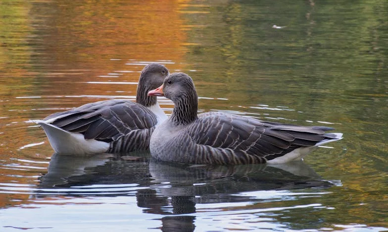 „Takovou rodinu bych nikdy nechtěla mít!“ – Nedělní oběd, který všechno změnil