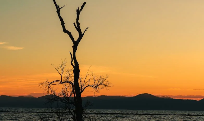 Tři karbanátky a jedna pravda: Když láska začne tížit