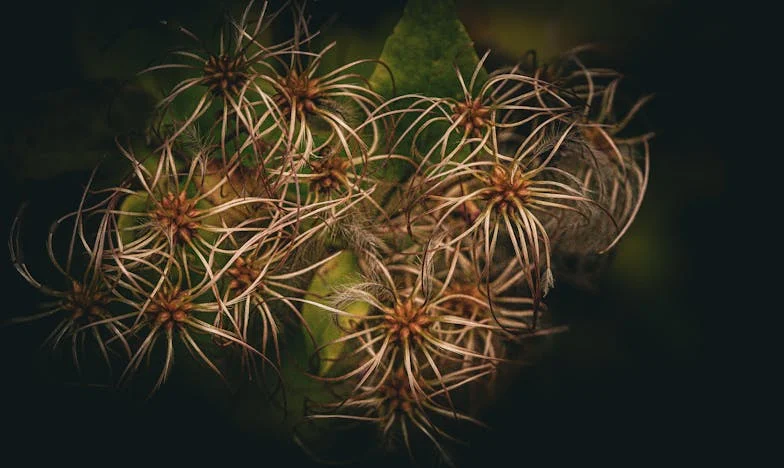 Tu noc, kdy jsem vyhodila syna a snachu z domu – hranice, kterou jsem nemohla překročit