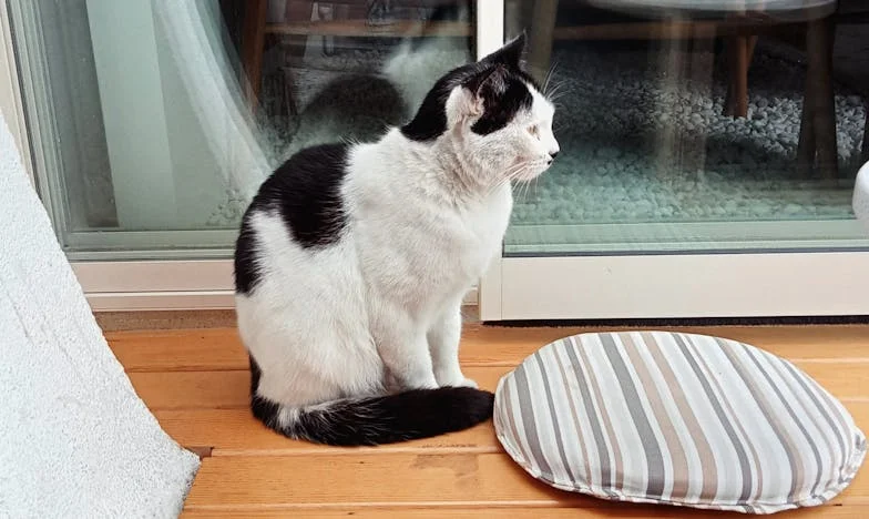 „Ty nejsi jako ostatní babičky“ – Příběh zapomenuté lásky