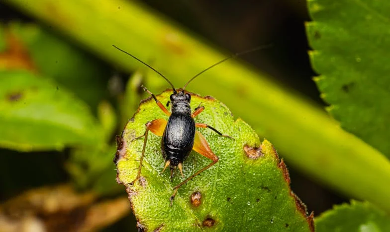 Účet v koši: Příběh o skrytých výdajích a ztracené důvěře