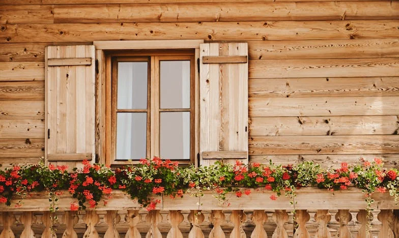 Za stolem, nebo za dveřmi: Příběh jedné rodinné večeře