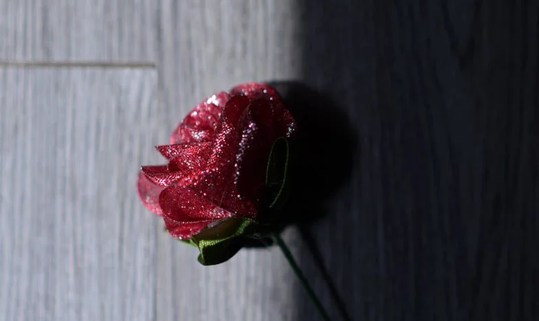 Zlomený slib: Mezi troskami rodiny a vlastními sny