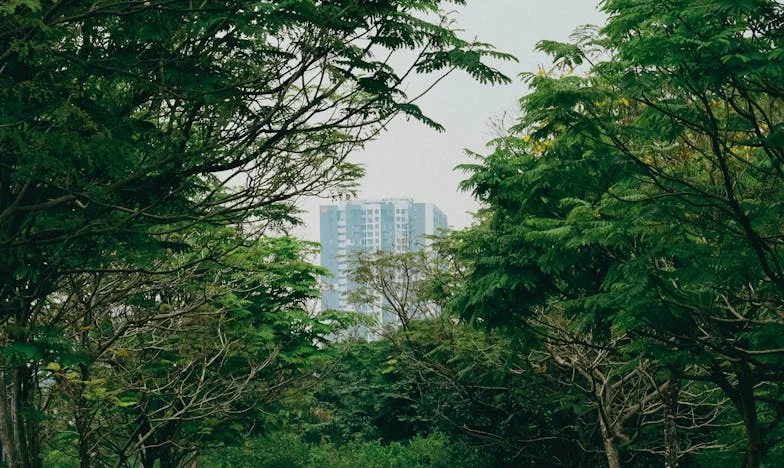 Babi, promiň, že jsem na tebe zapomněla. Příběh o vině, rodinných ranách a touze po blízkosti
