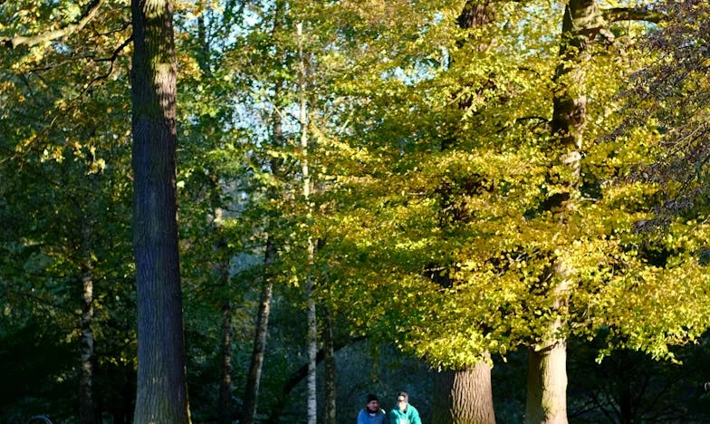 Cena svobody: Příběh Jany a jejích dcer