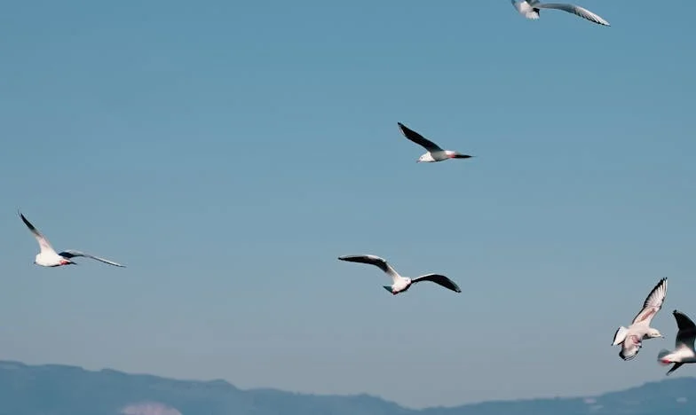 Dědictví dluhů: Příběh, který jsem si nevybrala